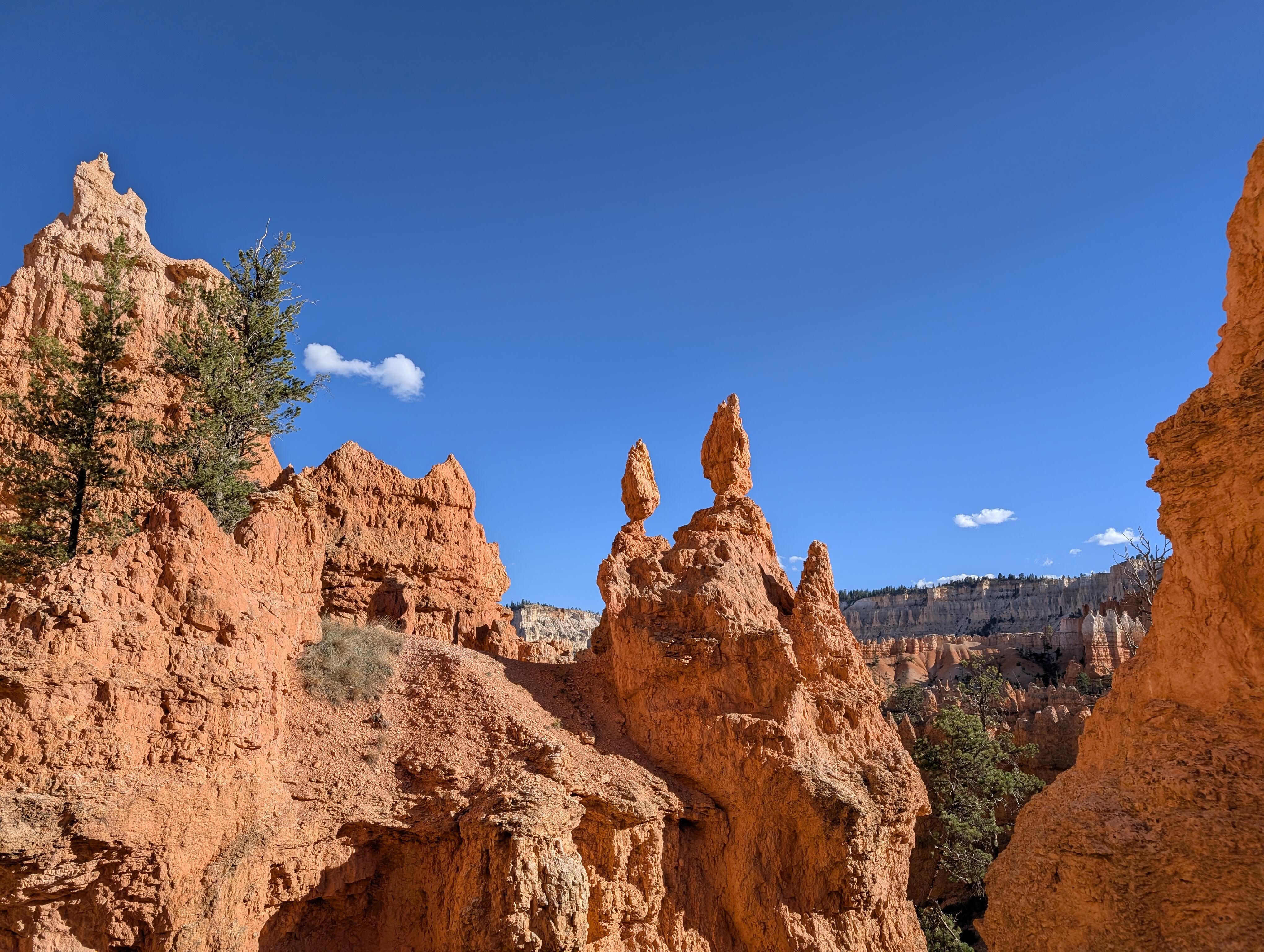 Looks like two wise elders conversing.